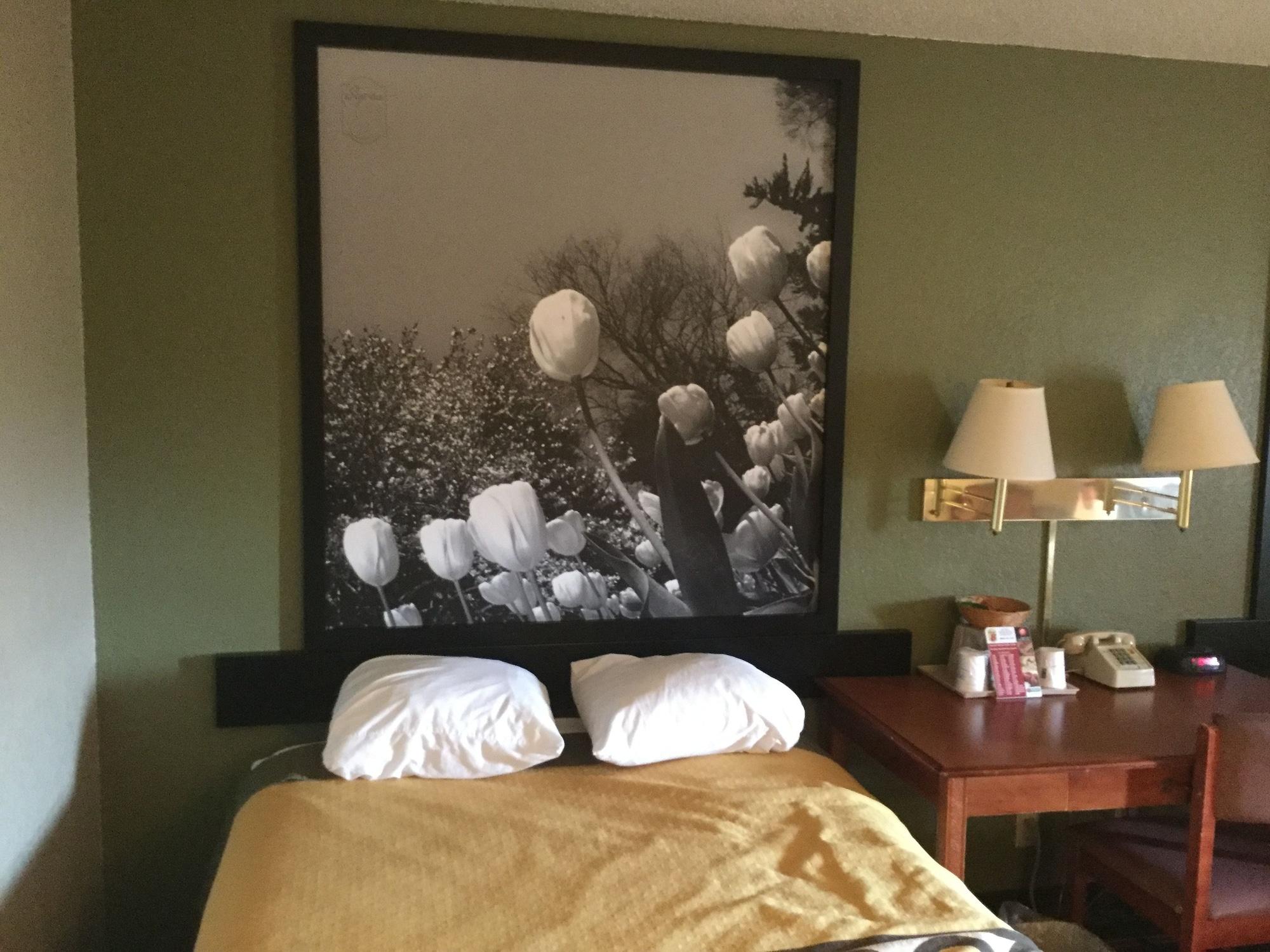 Super 8 By Wyndham Youngstown/Austintown Luaran gambar